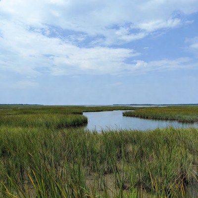 Marshland with winding waterway