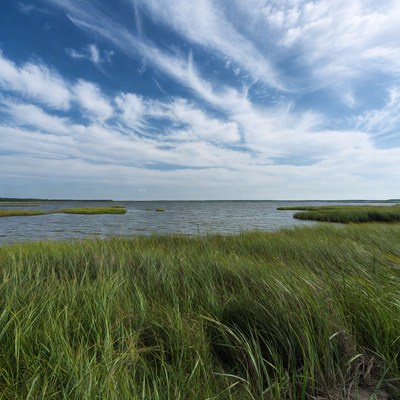 Marshland with lake and cloudy sky