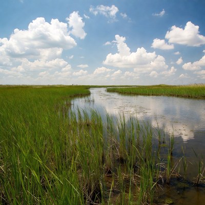 Marsh with winding waterway and blue sky