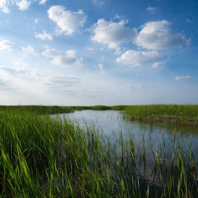 Marsh with water channel under blue sky