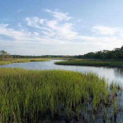 Winding River in Marsh Grassland