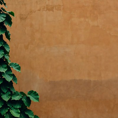 Ivy Climbing Tan Textured Wall
