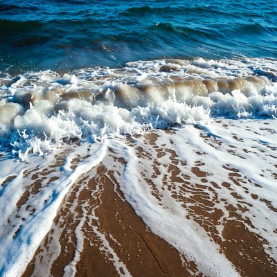 Ocean Waves Crashing on Sandy Beach