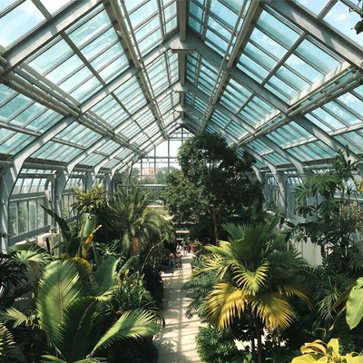 Glass Conservatory with Lush Tropical Plants