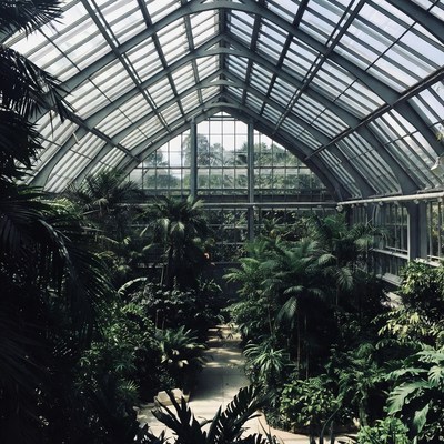 Glass Conservatory Filled with Tropical Plants