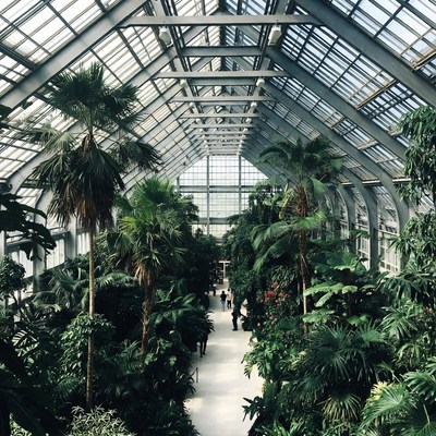 Glass Conservatory with Palm Trees