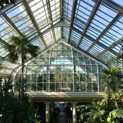 Glass Conservatory with Palm Trees