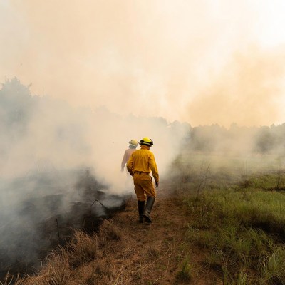 Firefighters walking through smoky wildfire