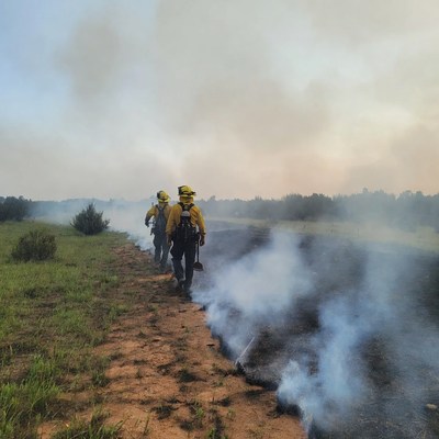 Firefighters walking along smoky controlled burn