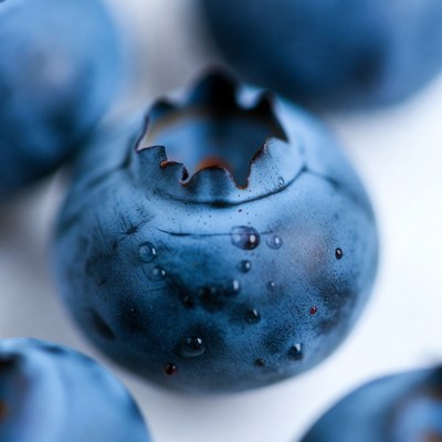 Closeup of Fresh Blueberries with Water Droplets