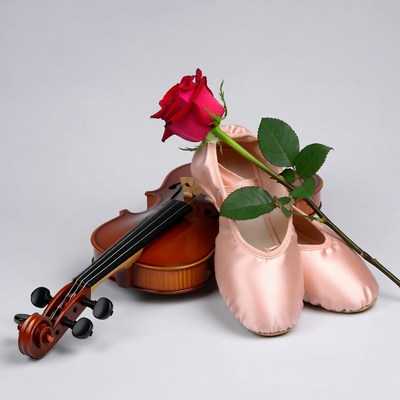 Violin with Red Rose and Pink Ballet Slippers
