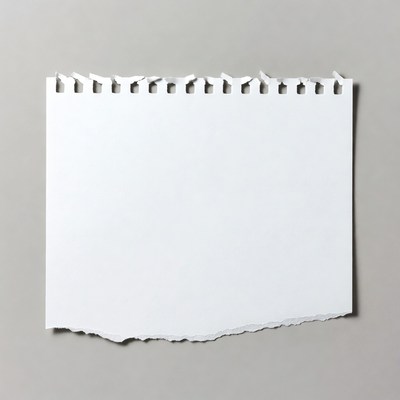 Torn Blank Paper Sheet