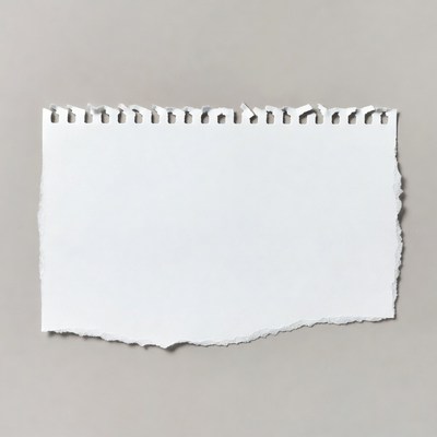 Torn Blank Paper Sheet