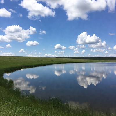 Scenic Pond with Cloud Reflections