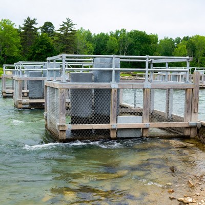 Fish Cages in River with Forest