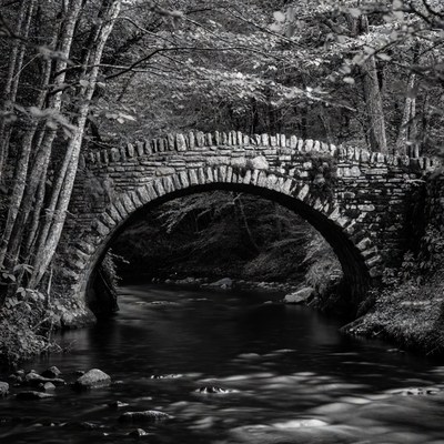 Stone Arch Bridge over Forest Stream