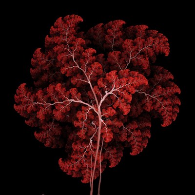 Red Fractal Tree on Black