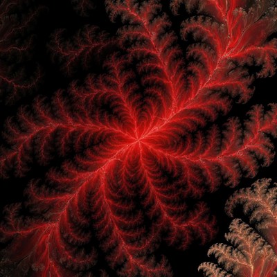 Red Fractal Pattern on Black