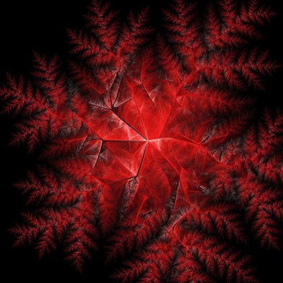 Red Fractal Fern Pattern