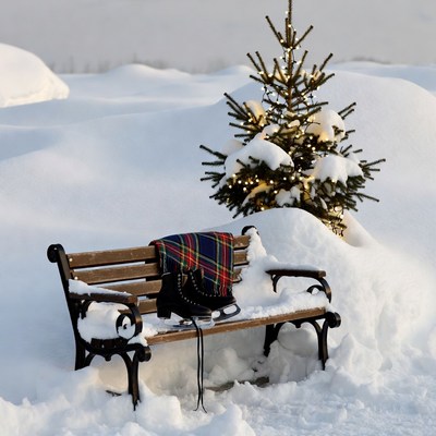 Snowy Bench with Skates and Christmas Tree