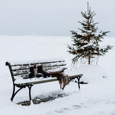 Snowy Bench with Boots and Christmas Tree