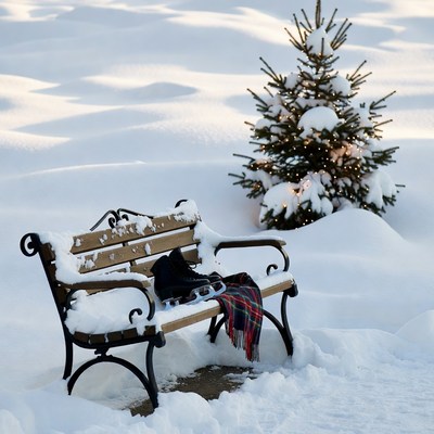 Snowy Bench with Skates and Christmas Tree