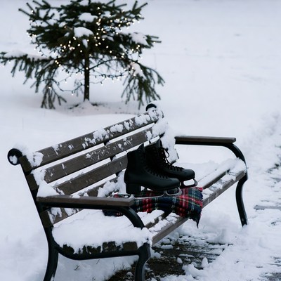 Ice skates on snowy bench