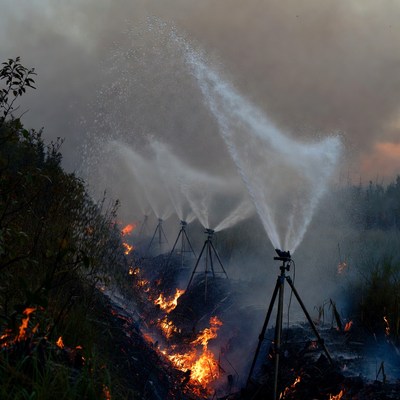 Fire Sprinklers Extinguishing Wildfire