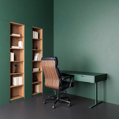 Green Office with Wooden Bookshelves