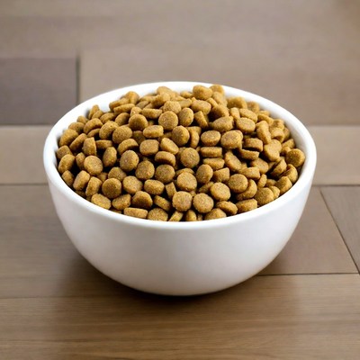 Bowl of brown dog kibble