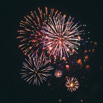 Colorful Fireworks Exploding in Night Sky