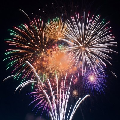Colorful Fireworks Exploding in Night Sky
