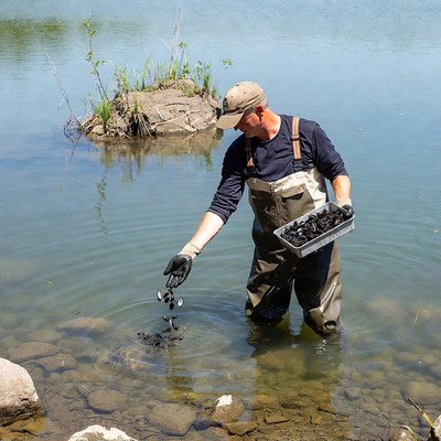 Man holding mussels in lake water