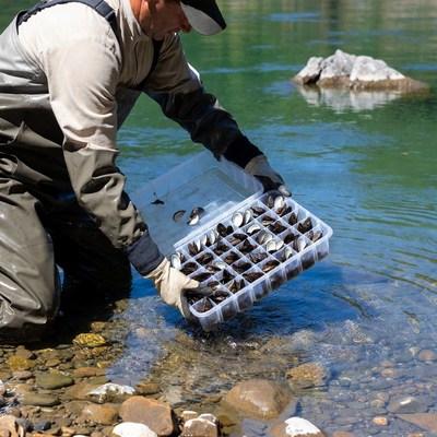 Man holding mussels in river