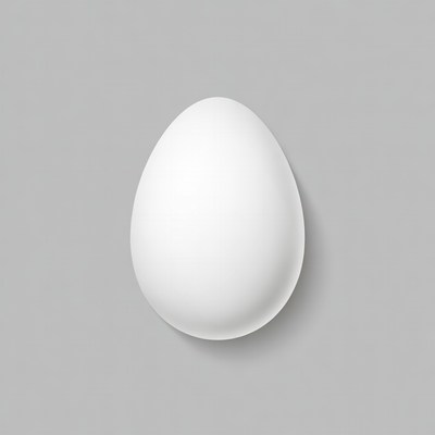 White egg on gray background