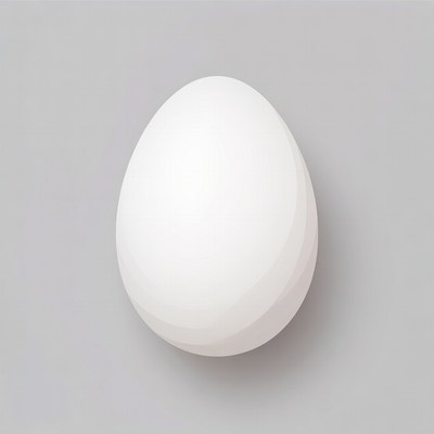 White egg on gray background