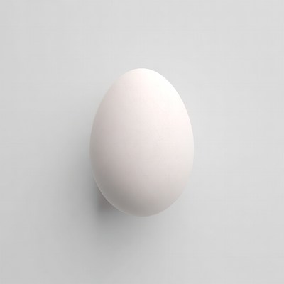 White egg on gray background