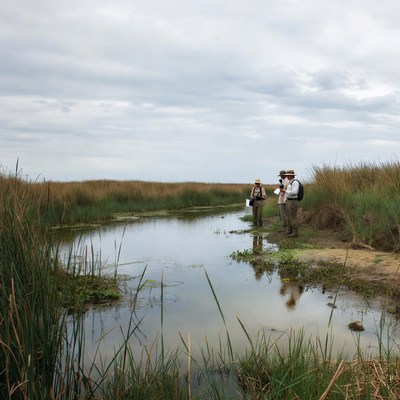 Three men observing wetland with clipboards