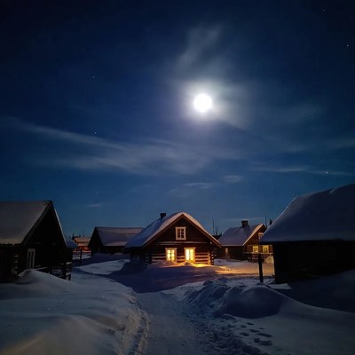 Snowy Cabins Under Full Moon