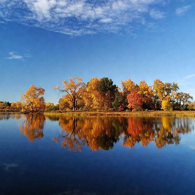 Autumn Trees Reflecting in Lake