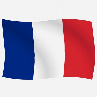 French Flag Waving