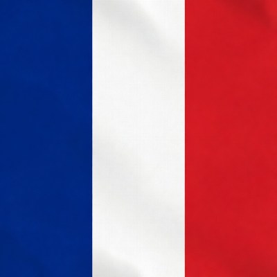 French Flag Waving