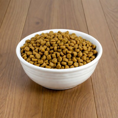 Bowl of dry dog food