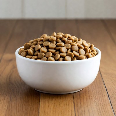 Heap of dry dog food in white bowl