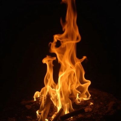 Burning Campfire Flames on Wood
