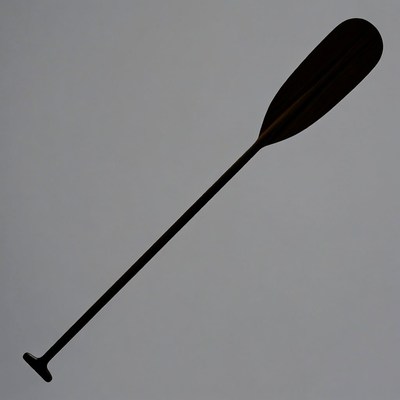 Black canoe paddle isolated