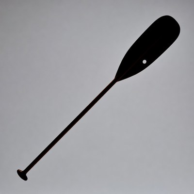 Black canoe paddle isolated