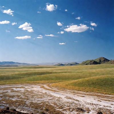 Vast green steppe with dirt track