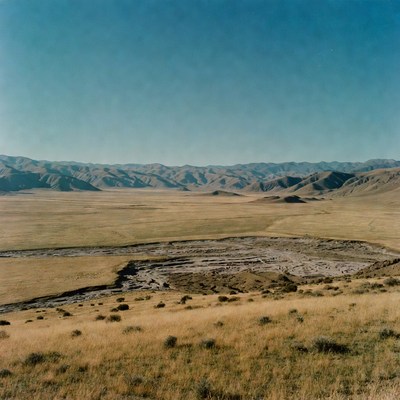 Vast steppe with distant mountains