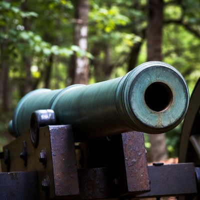 Civil War Cannon in Forest